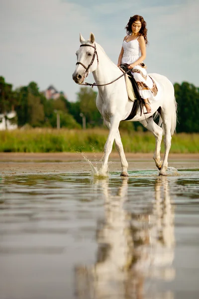 Young woman on a horse. Horseback rider, woman riding horse on b Royalty Free Stock Photos