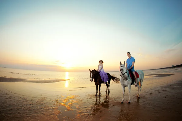 Two riders on horseback at sunset on the beach. Lovers ride hors Royalty Free Stock Photos