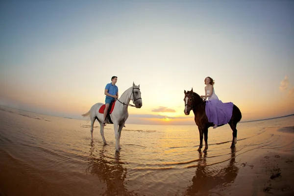 日落海滩上马背上的两个车手。爱好者骑开胃 图库图片