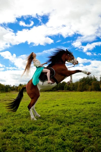 Uma mulher bonita com um cavalo no campo. Menina em uma fazenda com um — Fotografia de Stock