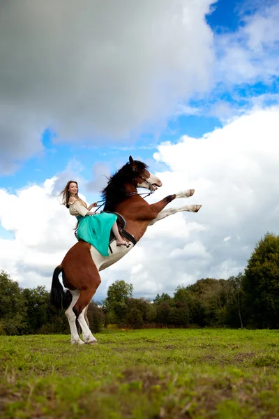 Uma mulher bonita com um cavalo no campo. Menina em uma fazenda com um — Fotografia de Stock