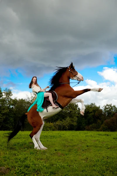 Bella donna con un cavallo nel campo. Ragazza in una fattoria con un — Foto Stock