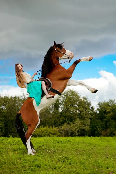 Uma mulher bonita com um cavalo no campo. Menina em uma fazenda com um Imagens Royalty-Free