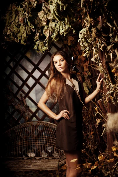 Luxus szépség fiatal nő egy misztikus erdőben — Stock Fotó