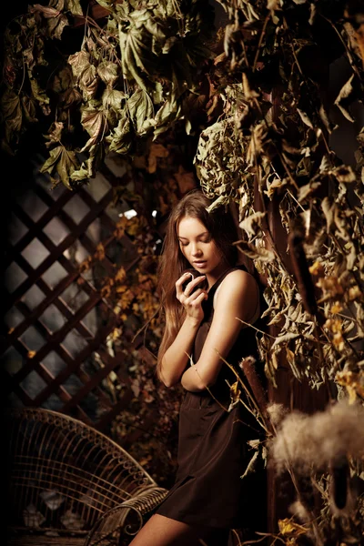 Luxury beauty young woman in a mystical forest — Stock Photo, Image