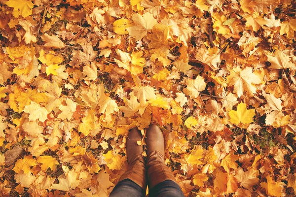 Gambe concettuali in stivali sulle foglie di autunno. Piedi scarpe walkin — Foto Stock