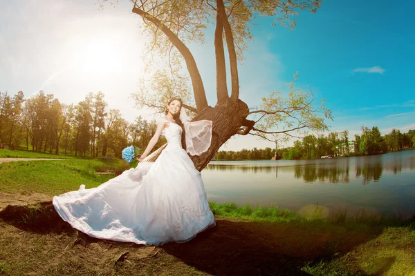 Bride on a field in the sunshine — Stock Photo, Image