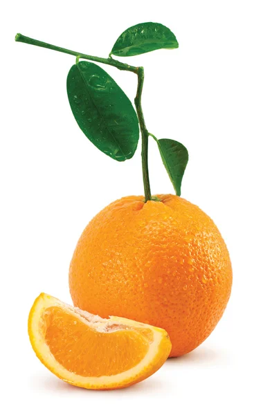 Orange with leaves and tubules on white background — Stock Photo, Image