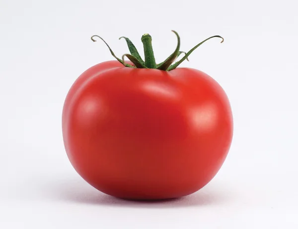 Tomate isoliert auf weißem Hintergrund — Stockfoto