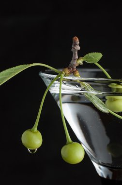 martini cam siyah olgunlaşmamış yeşil kiraz