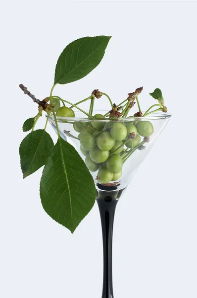 Unripe green cherry in martini glass — Stock Photo, Image