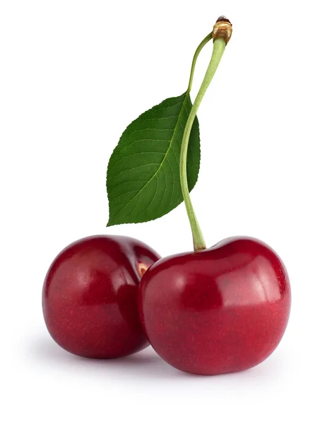 Cherries with the leaf isolated on white. Clipping path — Stock Photo, Image