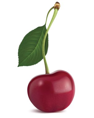 Cherry with leaf. Vector illustration clipart