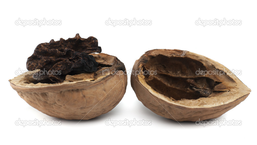 depositphotos_31321921-stock-photo-rotten-nut-on-white.jpg