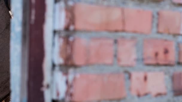 窗口被遗弃的房子 — 图库视频影像