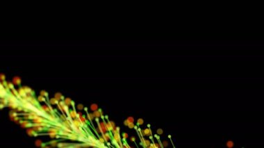 Parlak bir dalın, siyah bir zemin üzerinde parçacıklarla dinamik ve zarif bir şekilde büyüyen şık bir animasyonu. Büyülü muhteşem bitki örtüsü. Herhangi bir tasarımın mükemmel arkaplanı ve ögesi