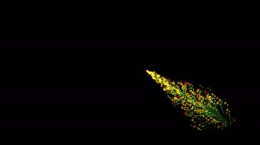 Parlak bir dalın, siyah bir zemin üzerinde parçacıklarla dinamik ve zarif bir şekilde büyüyen şık bir animasyonu. Büyülü muhteşem bitki örtüsü. Herhangi bir tasarımın mükemmel arkaplanı ve ögesi