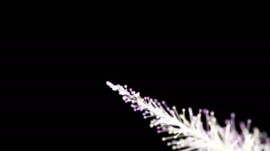 Siyah arka planda dinamik ve zarif bir şekilde büyüyen parlak bir dalın şık bir animasyonu. Büyülü muhteşem bitki örtüsü. Herhangi bir tasarımın mükemmel arkaplanı ve ögesi