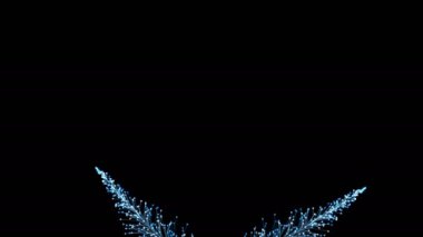 Siyah arka planda dinamik ve zarif bir şekilde büyüyen parlak renkli dalların şık bir animasyonu. Büyülü muhteşem bitki örtüsü. Herhangi bir tasarımın mükemmel arkaplanı ve ögesi