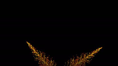 Siyah arka planda dinamik ve zarif bir şekilde büyüyen parlak renkli dalların şık bir animasyonu. Büyülü muhteşem bitki örtüsü. Herhangi bir tasarımın mükemmel arkaplanı ve ögesi