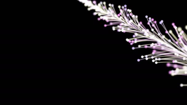 Animação Elegante Ramo Brilhante Dinamicamente Elegantemente Crescendo Fundo Preto Vegetação — Vídeo de Stock