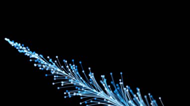 Siyah arka planda zarif bir şekilde büyüyen şık bir Noel dalının 3 boyutlu görüntüsü. Büyülü muhteşem bitki örtüsü. Herhangi bir tasarım için mükemmel arkaplan ve öge