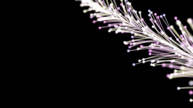 Siyah arka planda zarif bir şekilde büyüyen zarif parlak dalın 3 boyutlu görüntüsü. Büyülü muhteşem bitki örtüsü. Herhangi bir tasarım için mükemmel arkaplan ve öge