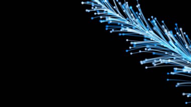 Siyah arka planda zarif bir şekilde büyüyen şık bir Noel dalının 3 boyutlu görüntüsü. Büyülü muhteşem bitki örtüsü. Herhangi bir tasarım için mükemmel arkaplan ve öge