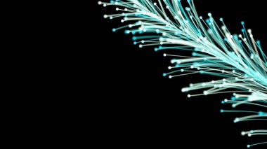 Siyah arka planda zarif bir şekilde büyüyen zarif parlak dalın 3 boyutlu görüntüsü. Büyülü muhteşem bitki örtüsü. Herhangi bir tasarım için mükemmel arkaplan ve öge