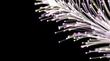 Siyah arka planda zarif bir şekilde büyüyen zarif parlak dalın 3 boyutlu görüntüsü. Büyülü muhteşem bitki örtüsü. Herhangi bir tasarım için mükemmel arkaplan ve öge