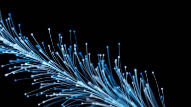 Siyah arka planda zarif bir şekilde büyüyen şık bir Noel dalının 3 boyutlu görüntüsü. Büyülü muhteşem bitki örtüsü. Herhangi bir tasarım için mükemmel arkaplan ve öge