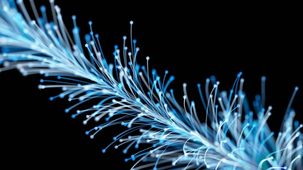 Siyah arka planda zarif bir şekilde büyüyen şık bir Noel dalının 3 boyutlu görüntüsü. Büyülü muhteşem bitki örtüsü. Herhangi bir tasarım için mükemmel arkaplan ve öge