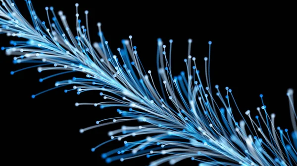 Siyah arka planda zarif bir şekilde büyüyen şık bir Noel dalının 3 boyutlu görüntüsü. Büyülü muhteşem bitki örtüsü. Herhangi bir tasarım için mükemmel arkaplan ve öge