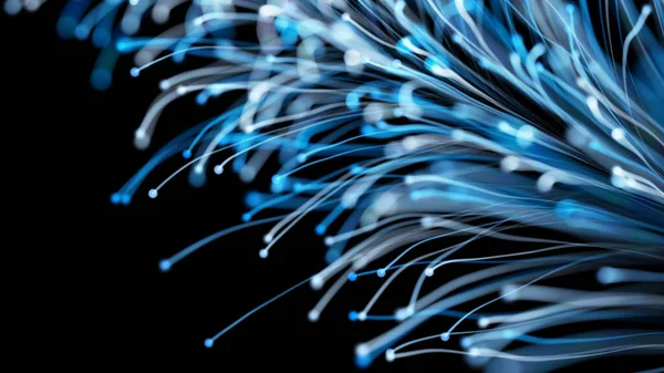 Siyah arka planda zarif bir şekilde büyüyen şık bir Noel dalının 3 boyutlu görüntüsü. Büyülü muhteşem bitki örtüsü. Herhangi bir tasarım için mükemmel arkaplan ve öge