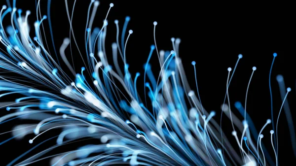 Siyah arka planda zarif bir şekilde büyüyen şık bir Noel dalının 3 boyutlu görüntüsü. Büyülü muhteşem bitki örtüsü. Herhangi bir tasarım için mükemmel arkaplan ve öge