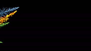 Siyah arka planda dinamik ve zarif bir şekilde büyüyen parlak renkli dalların şık bir animasyonu. Büyülü muhteşem bitki örtüsü. Herhangi bir tasarımın mükemmel arkaplanı ve ögesi