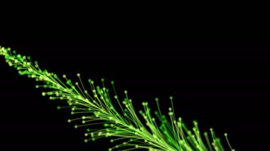 Siyah arka planda dinamik ve zarif bir şekilde büyüyen parlak bir dalın şık bir animasyonu. Büyülü muhteşem bitki örtüsü. Herhangi bir tasarımın mükemmel arkaplanı ve ögesi