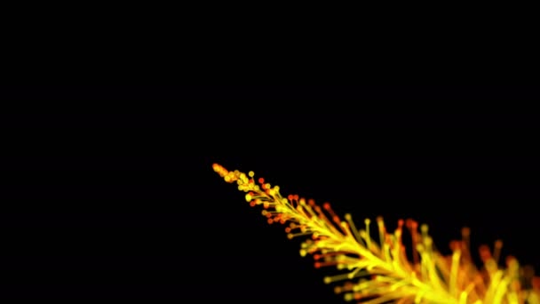 Stylish Animation Bright Branch Dynamically Elegantly Growing Black Background Magical — Stock Video