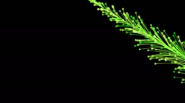 Siyah arka planda dinamik ve zarif bir şekilde büyüyen parlak bir dalın şık bir animasyonu. Büyülü muhteşem bitki örtüsü. Herhangi bir tasarımın mükemmel arkaplanı ve ögesi