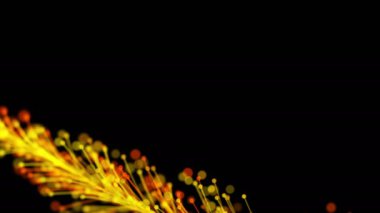 Parlak bir dalın, siyah bir zemin üzerinde parçacıklarla dinamik ve zarif bir şekilde büyüyen şık bir animasyonu. Büyülü muhteşem bitki örtüsü. Herhangi bir tasarımın mükemmel arkaplanı ve ögesi