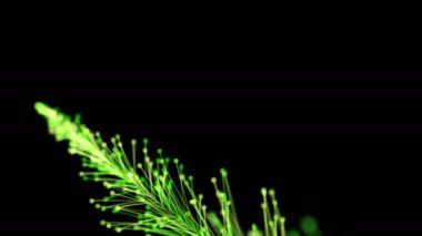 Siyah arka planda dinamik ve zarif bir şekilde büyüyen parlak bir dalın şık bir animasyonu. Büyülü muhteşem bitki örtüsü. Herhangi bir tasarımın mükemmel arkaplanı ve ögesi