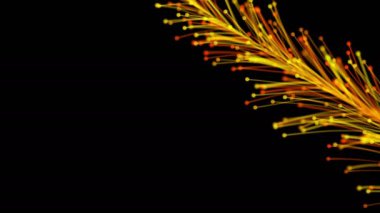 Siyah arka planda dinamik ve zarif bir şekilde büyüyen parlak bir dalın şık bir animasyonu. Büyülü muhteşem bitki örtüsü. Herhangi bir tasarımın mükemmel arkaplanı ve ögesi