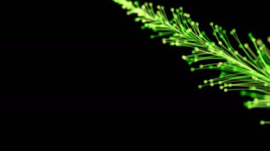 Siyah arka planda dinamik ve zarif bir şekilde büyüyen parlak bir dalın şık bir animasyonu. Büyülü muhteşem bitki örtüsü. Herhangi bir tasarımın mükemmel arkaplanı ve ögesi