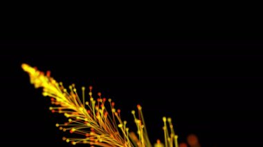 Siyah arka planda dinamik ve zarif bir şekilde büyüyen parlak bir dalın şık bir animasyonu. Büyülü muhteşem bitki örtüsü. Herhangi bir tasarımın mükemmel arkaplanı ve ögesi