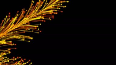 Siyah arka planda dinamik ve zarif bir şekilde büyüyen parlak renkli dalların şık bir animasyonu. Büyülü muhteşem bitki örtüsü. Herhangi bir tasarımın mükemmel arkaplanı ve ögesi