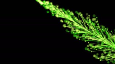 Parlak bir dalın, siyah bir zemin üzerinde parçacıklarla dinamik ve zarif bir şekilde büyüyen şık bir animasyonu. Büyülü muhteşem bitki örtüsü. Herhangi bir tasarımın mükemmel arkaplanı ve ögesi