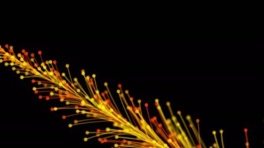 Siyah arka planda dinamik ve zarif bir şekilde büyüyen parlak bir dalın şık bir animasyonu. Büyülü muhteşem bitki örtüsü. Herhangi bir tasarımın mükemmel arkaplanı ve ögesi