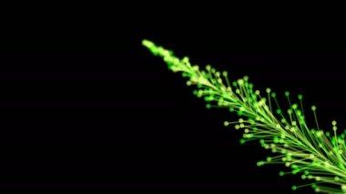 Siyah arka planda dinamik ve zarif bir şekilde büyüyen parlak bir dalın şık bir animasyonu. Büyülü muhteşem bitki örtüsü. Herhangi bir tasarımın mükemmel arkaplanı ve ögesi