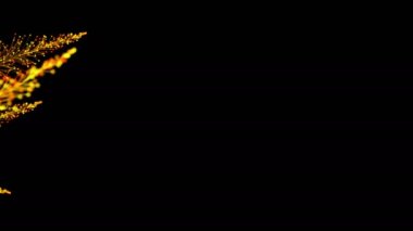 Siyah arka planda dinamik ve zarif bir şekilde büyüyen parlak renkli dalların şık bir animasyonu. Büyülü muhteşem bitki örtüsü. Herhangi bir tasarımın mükemmel arkaplanı ve ögesi