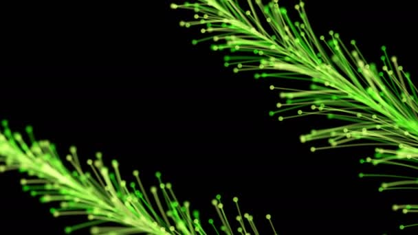 Stylish Animation Bright Colorful Branches Dynamically Elegantly Growing Black Background — Stockvideo